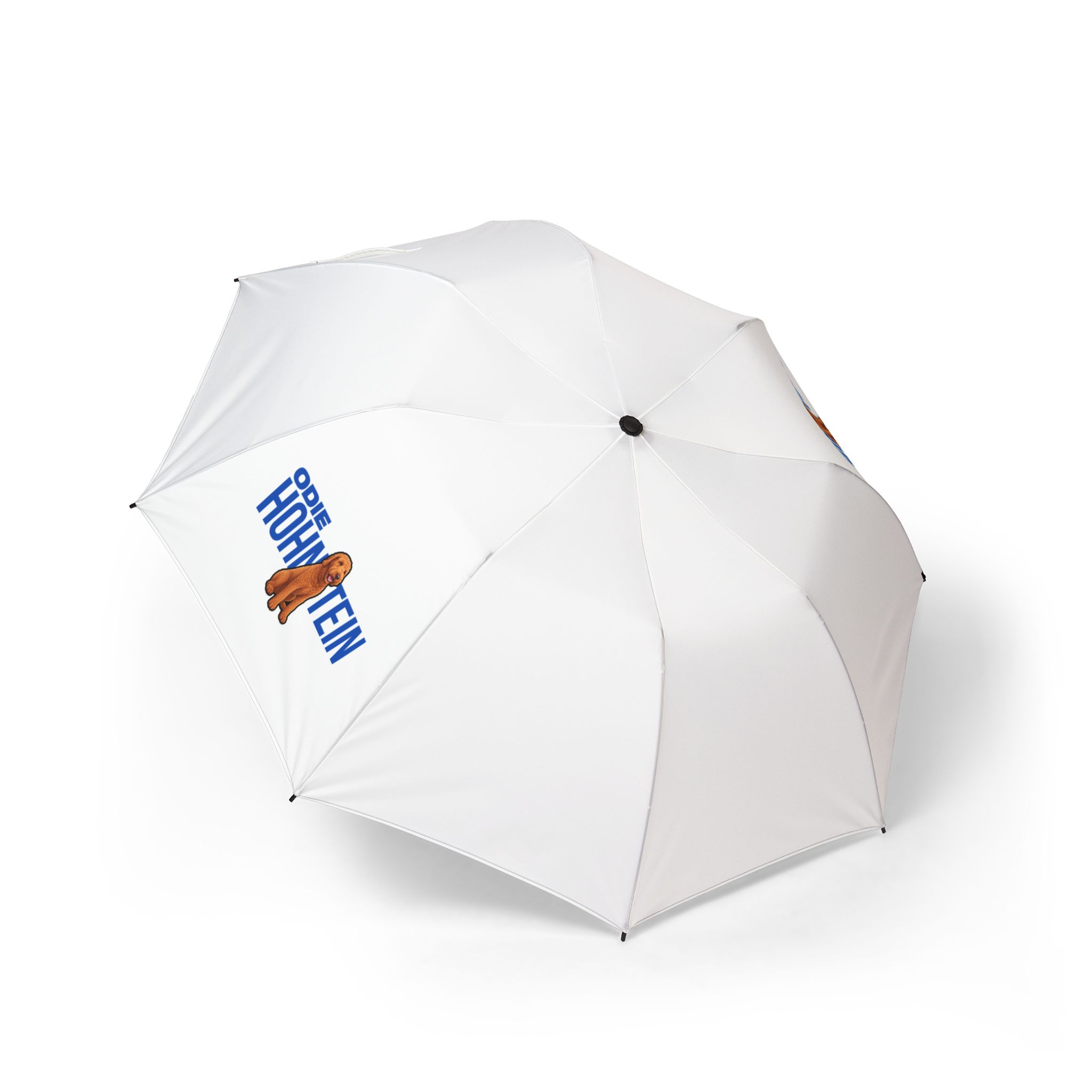 Foldable Umbrella — character_player_name in Classic