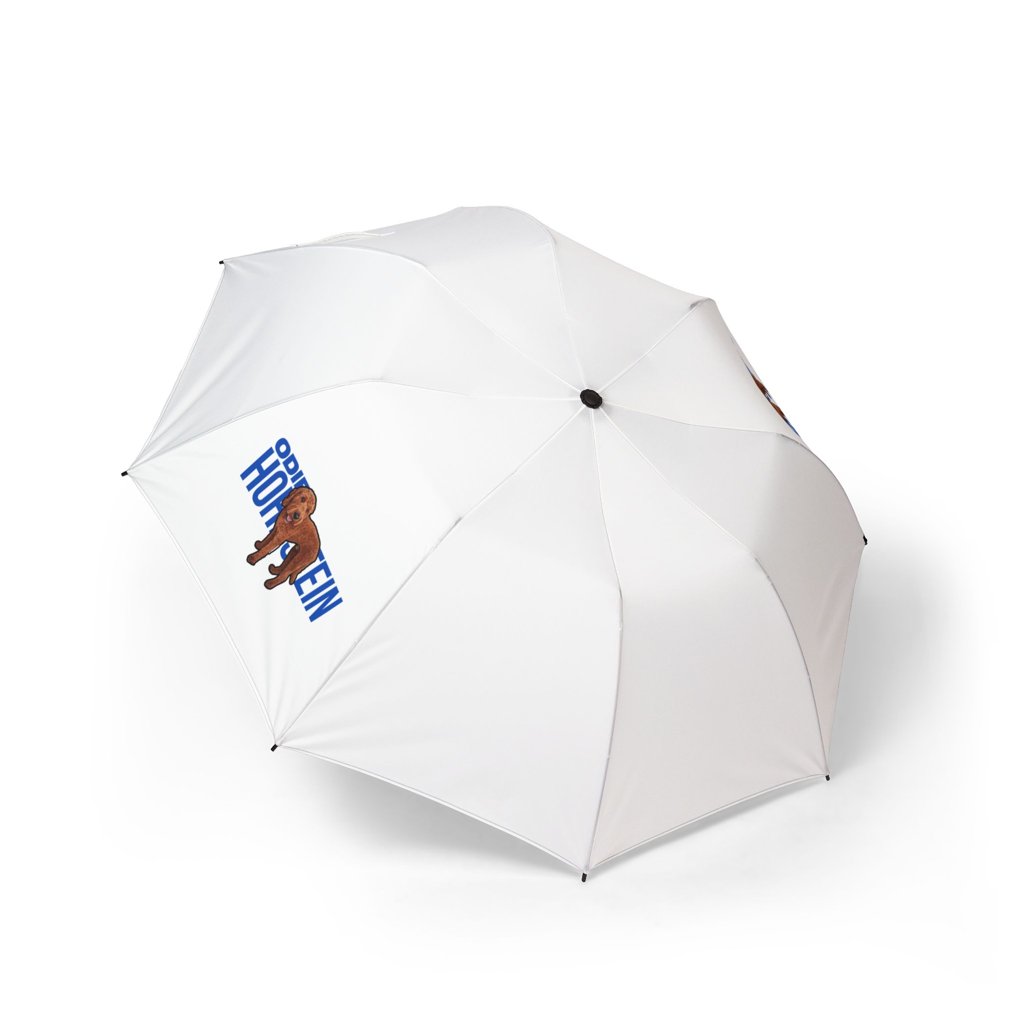 Foldable Umbrella — character_player_name in Classic