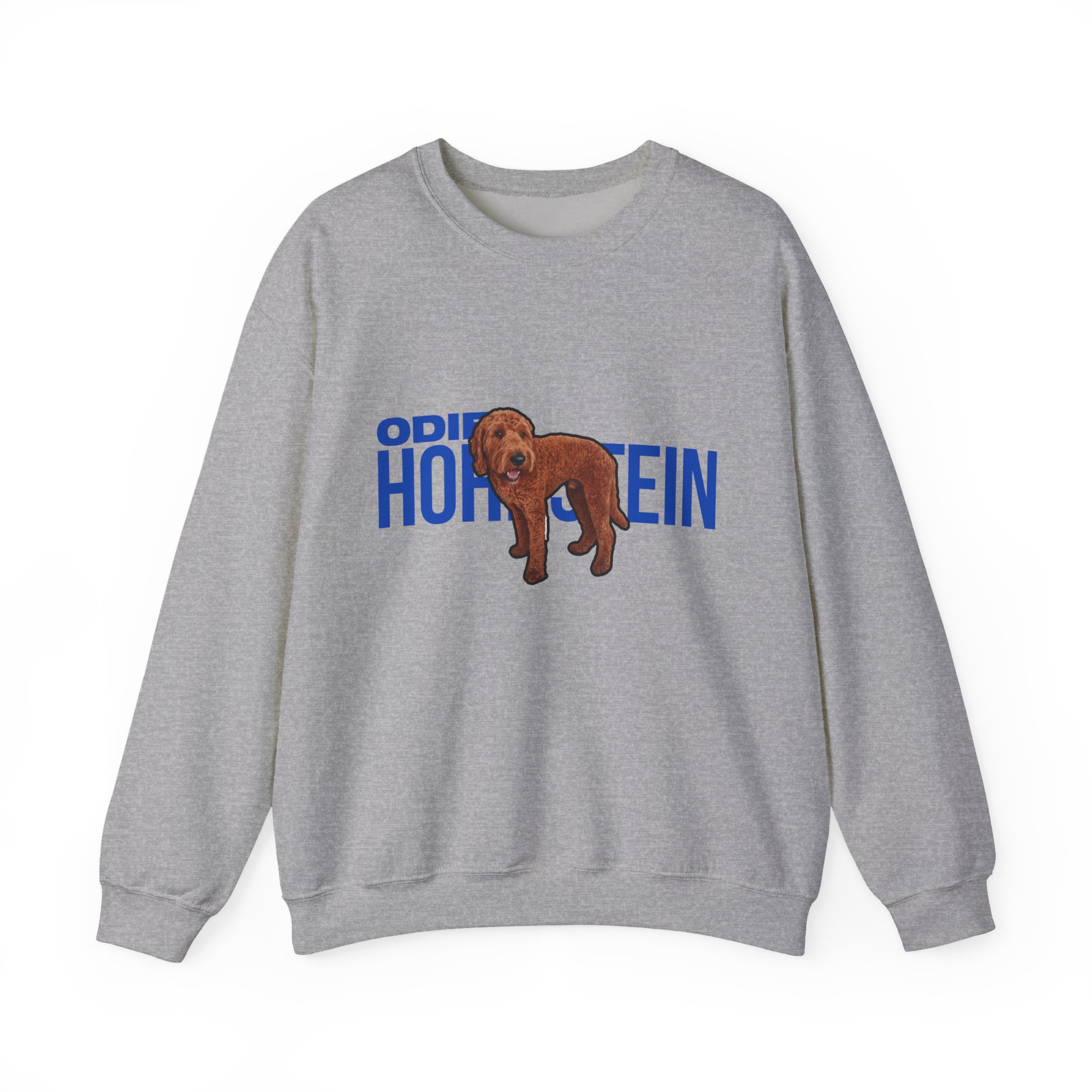 Crewneck Sweatshirt