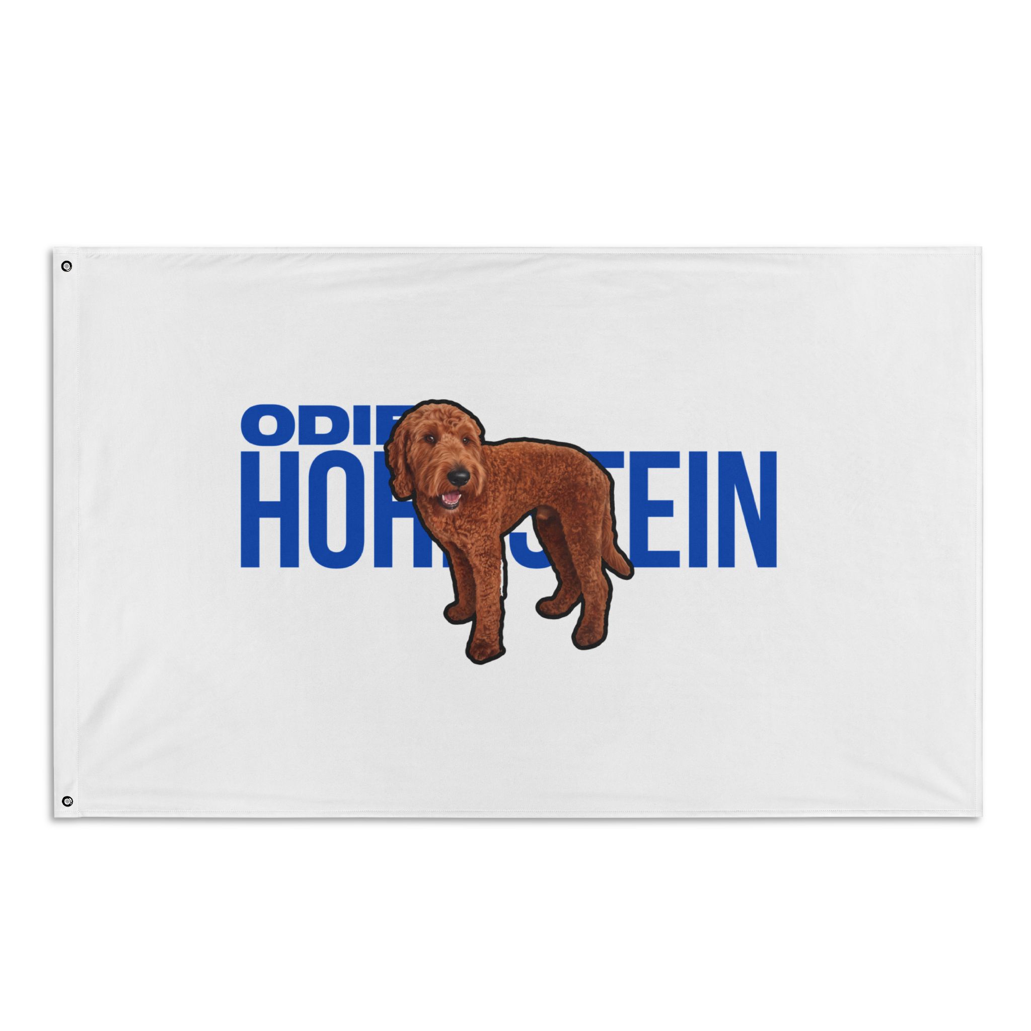 All-Over Print Flag — character_player_name in Classic