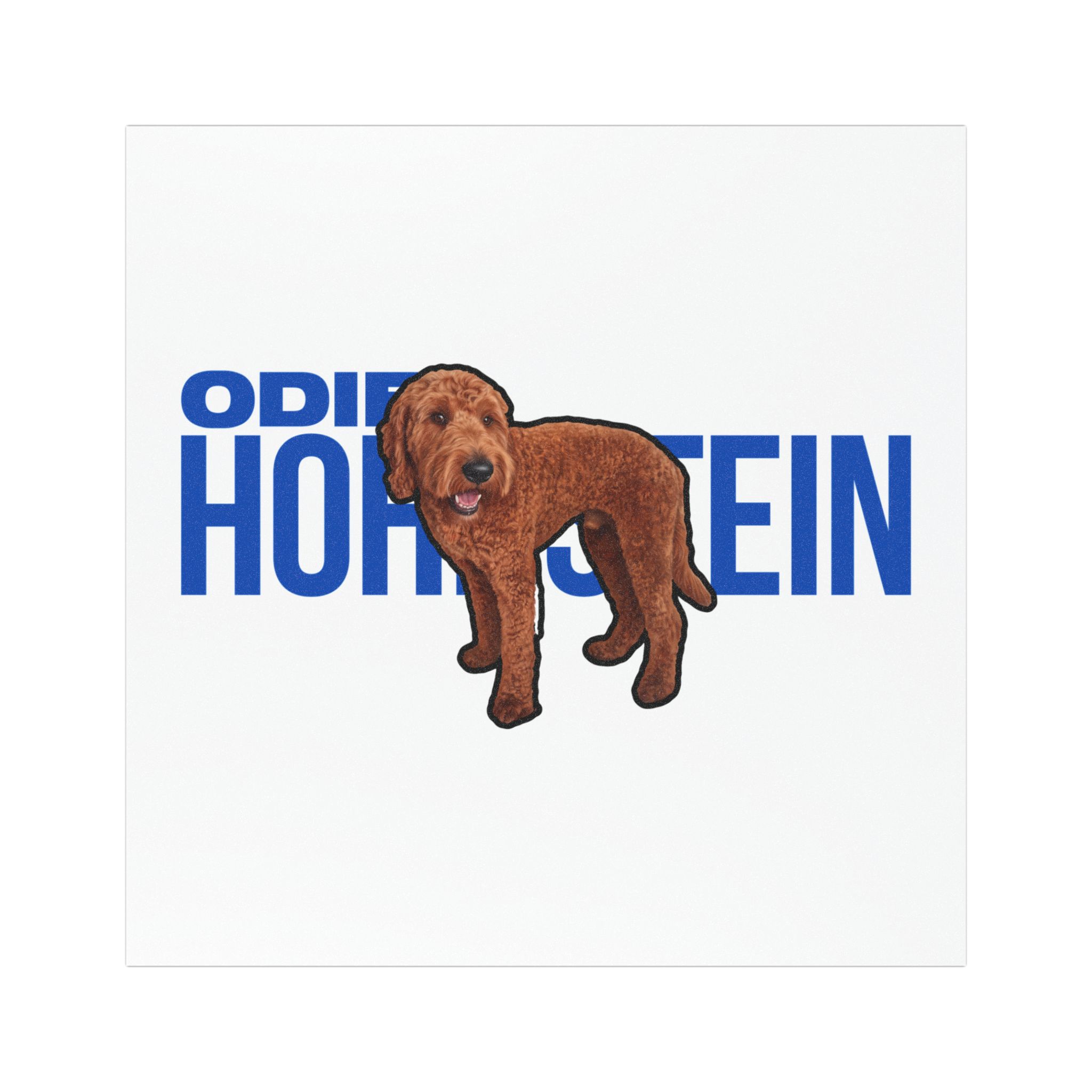 Car Magnets — character_player_name in Classic