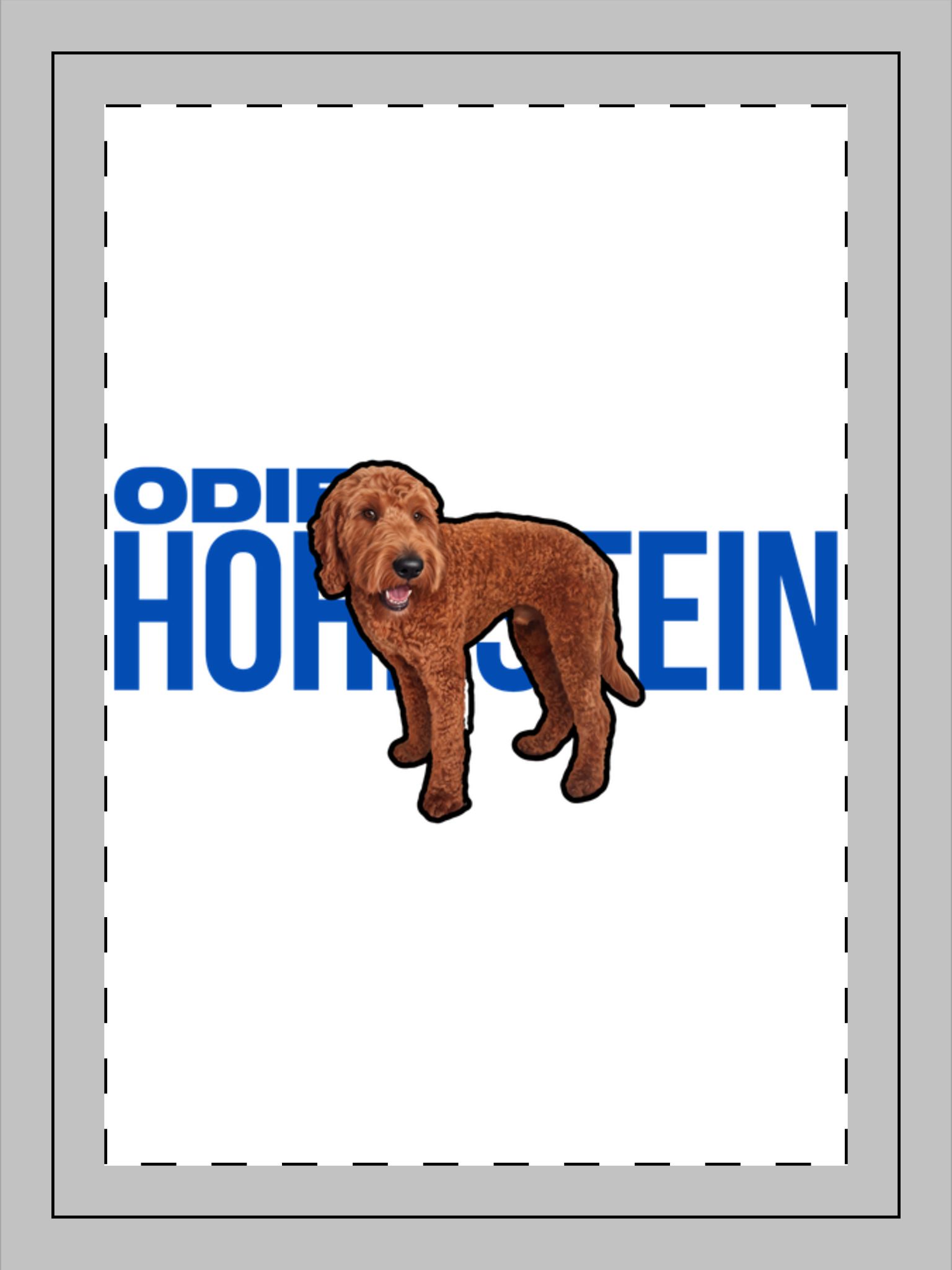 Portrait Frame Ornament — character_player_name in Classic